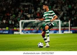 这五颗球只有山羊才能打出来！